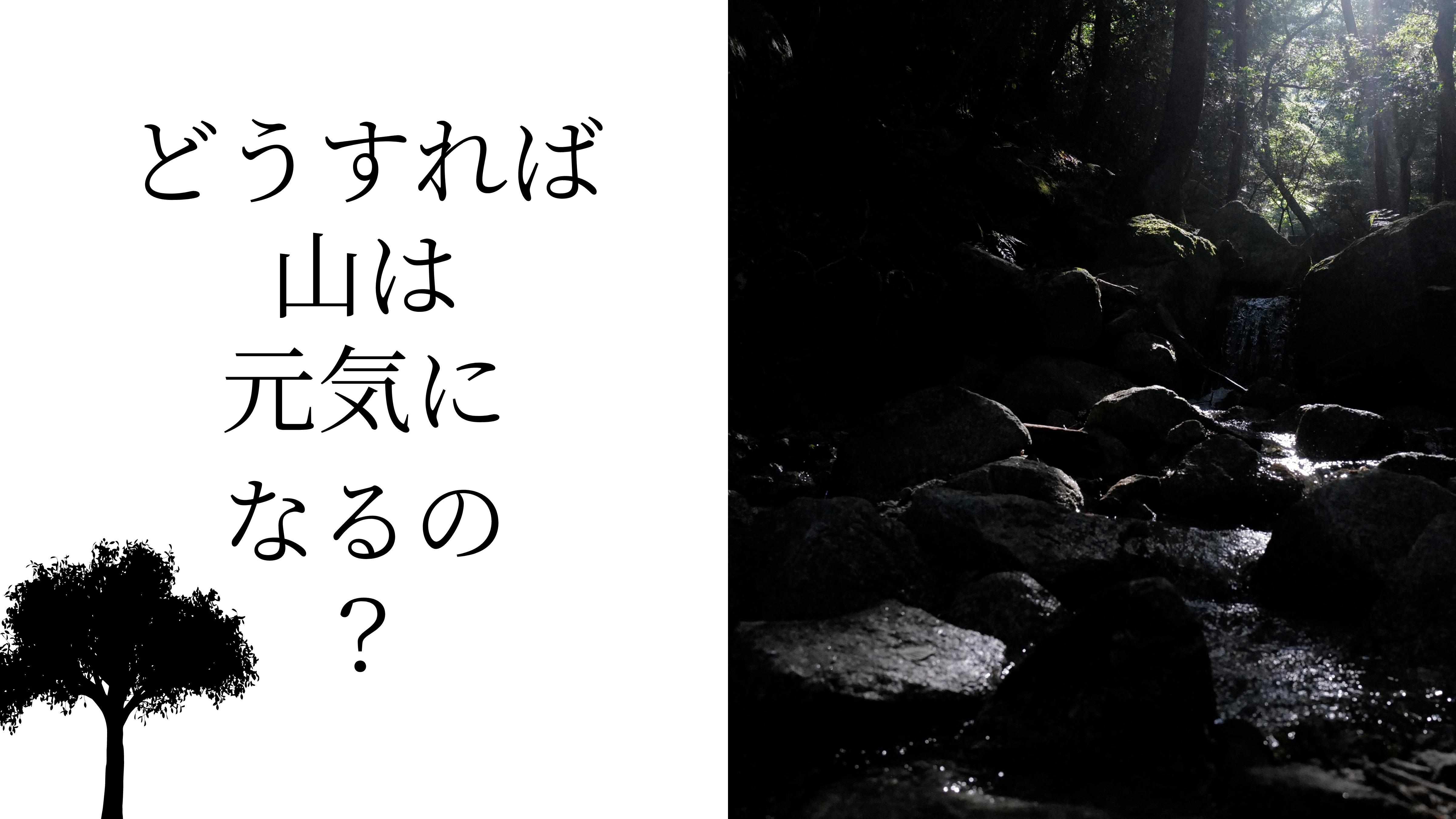 How can we restore vitality to Japan's mountains? — Sentei-ya Sora