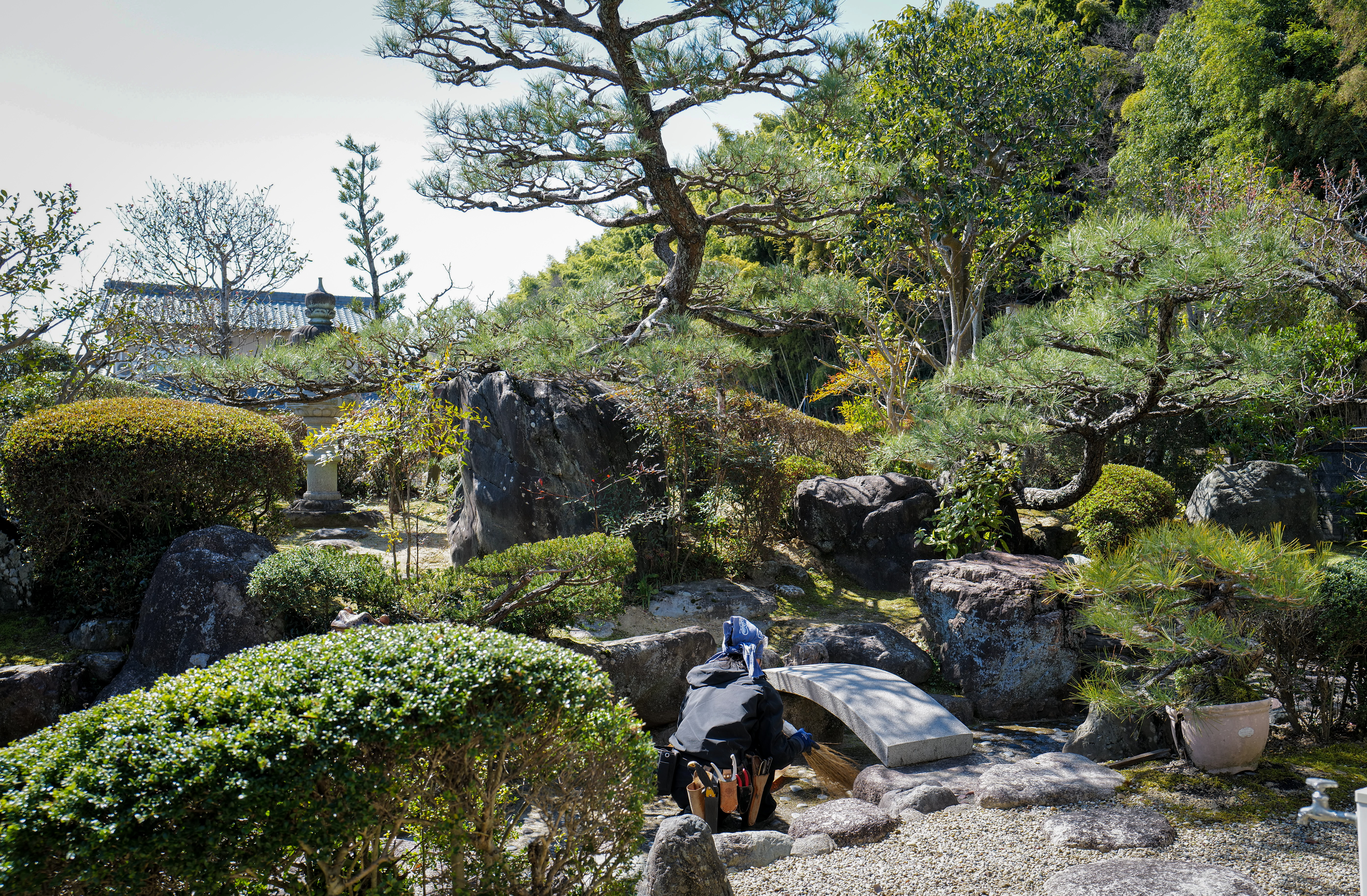 Garden maintenance in Kuwana Mie Prefecture, traditional Japanese garden weeding and Western lawn care