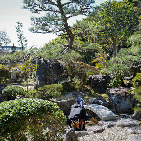 Garden Maintenance in Kuwana — Weeding a Traditional Garden, Turf Care, and Tree Repair