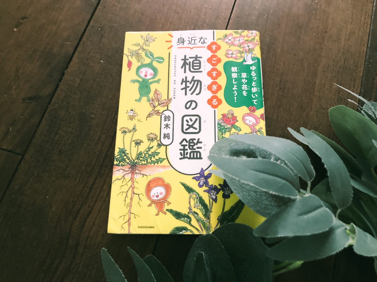 植物図鑑 鈴木純 身近なすごすぎる植物の図鑑 本