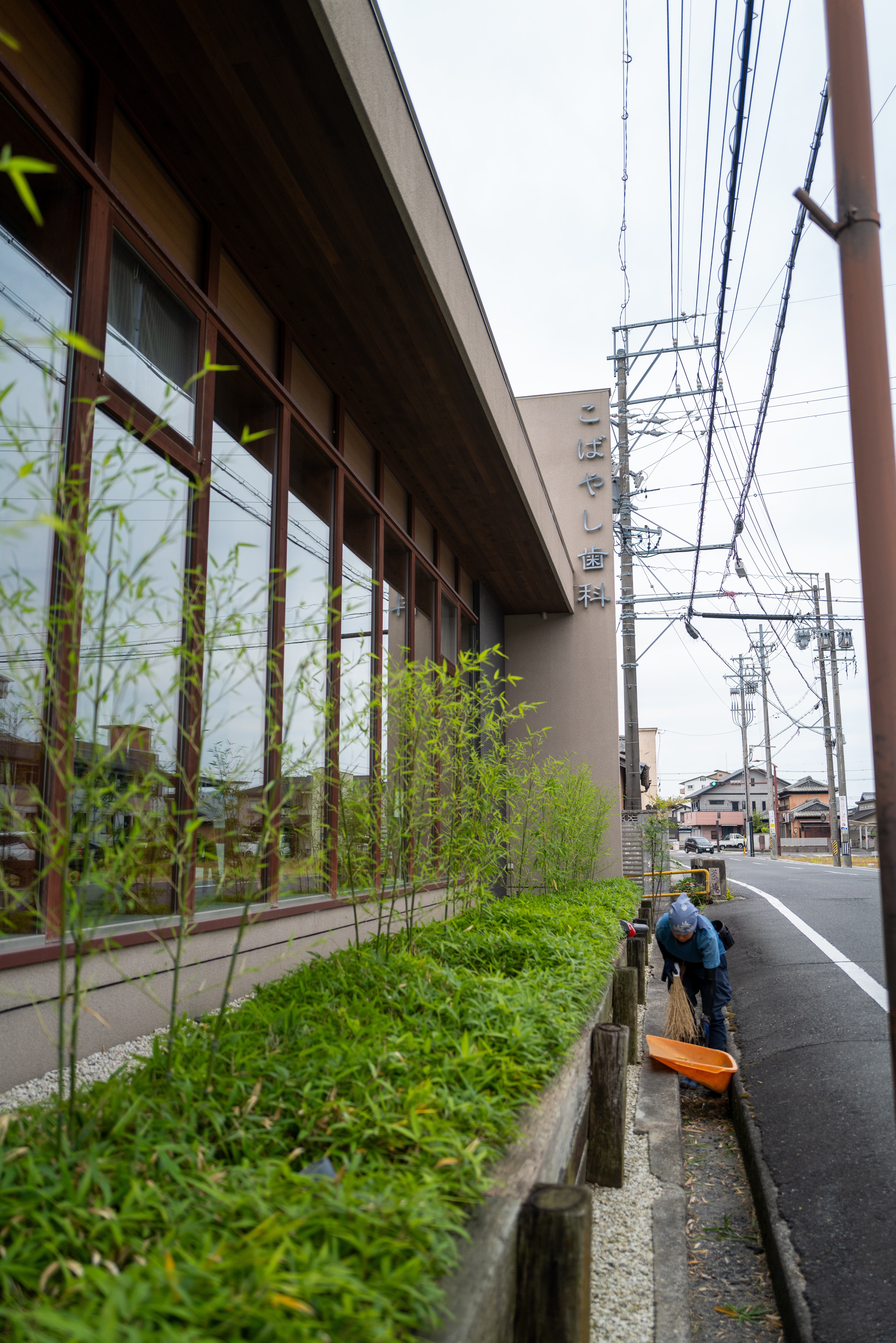 鈴鹿市歯科医院 入口緑地 手入れ前
