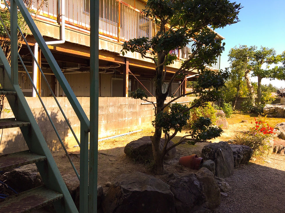 三重県津市にて庭木伐採作業事例|三重県剪定伐採お庭のお手入れ専門店 剪定屋空