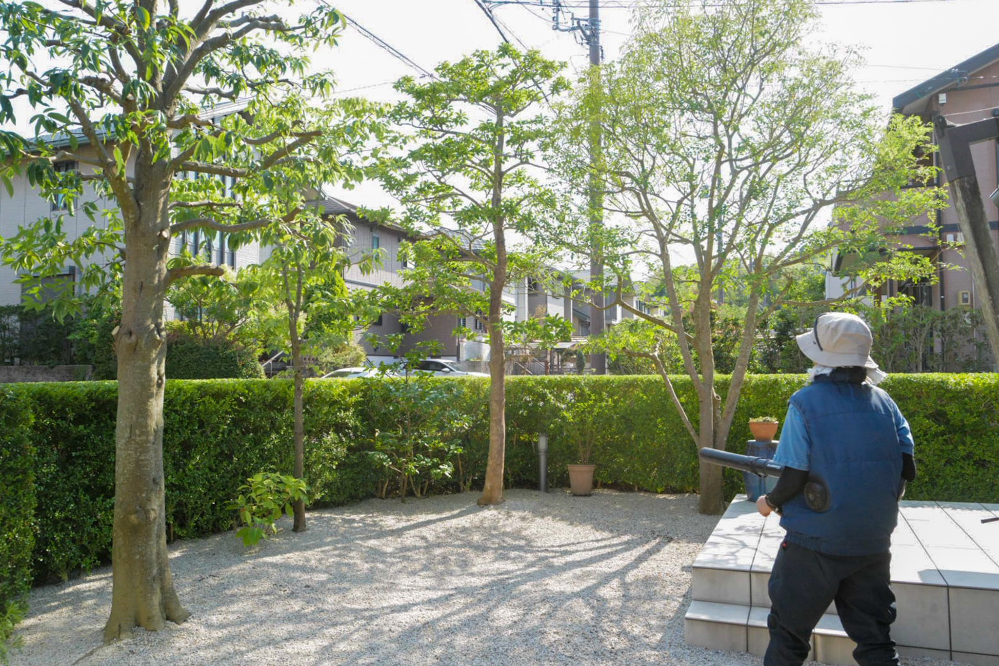 お庭全体の剪定作業 剪定屋空
