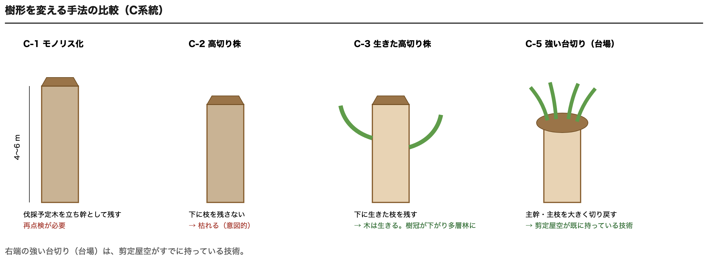 モノリス化と高切り株と台切りの比較