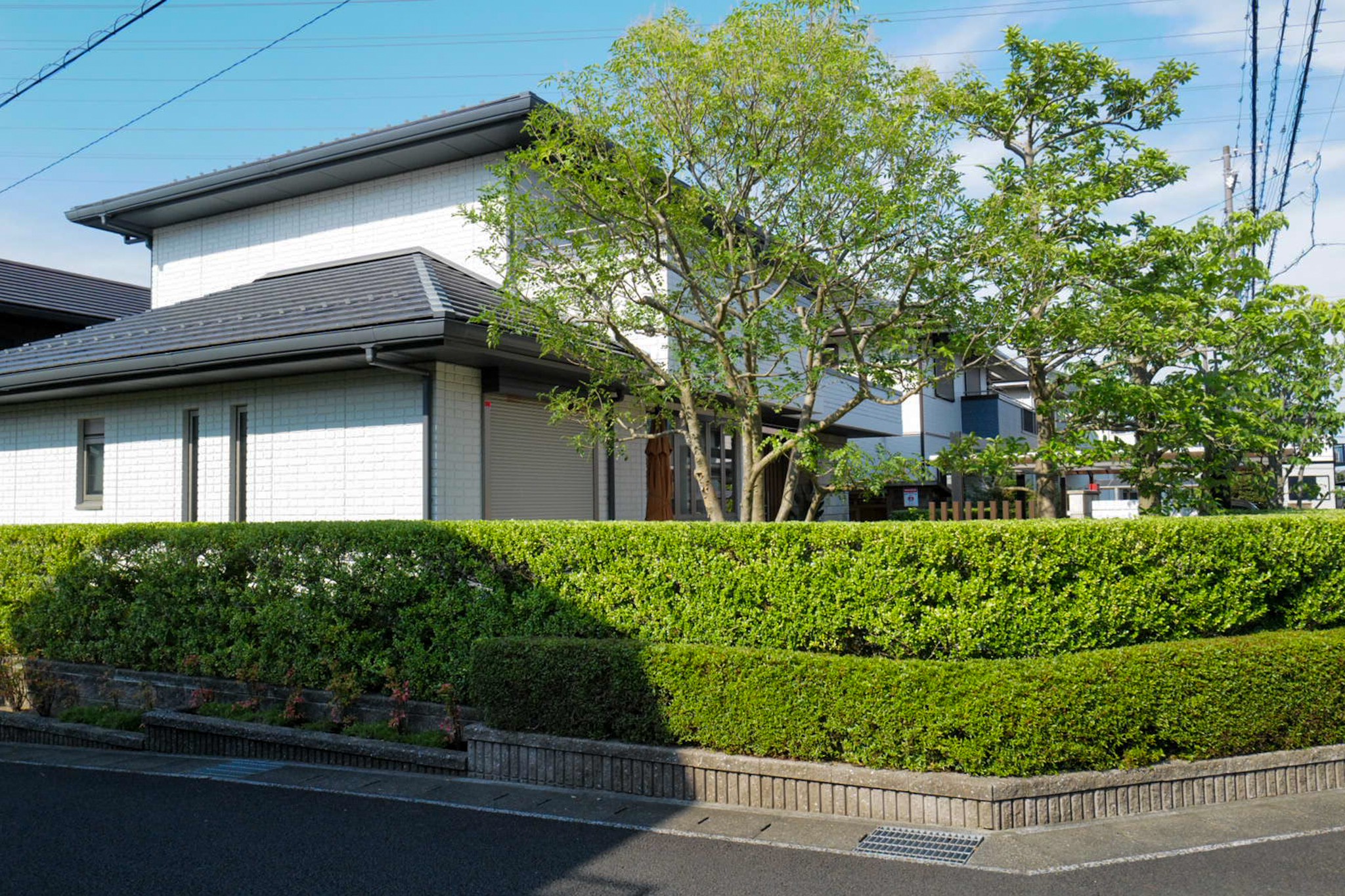 夏のお手入れ後の道路沿いの庭 剪定屋空