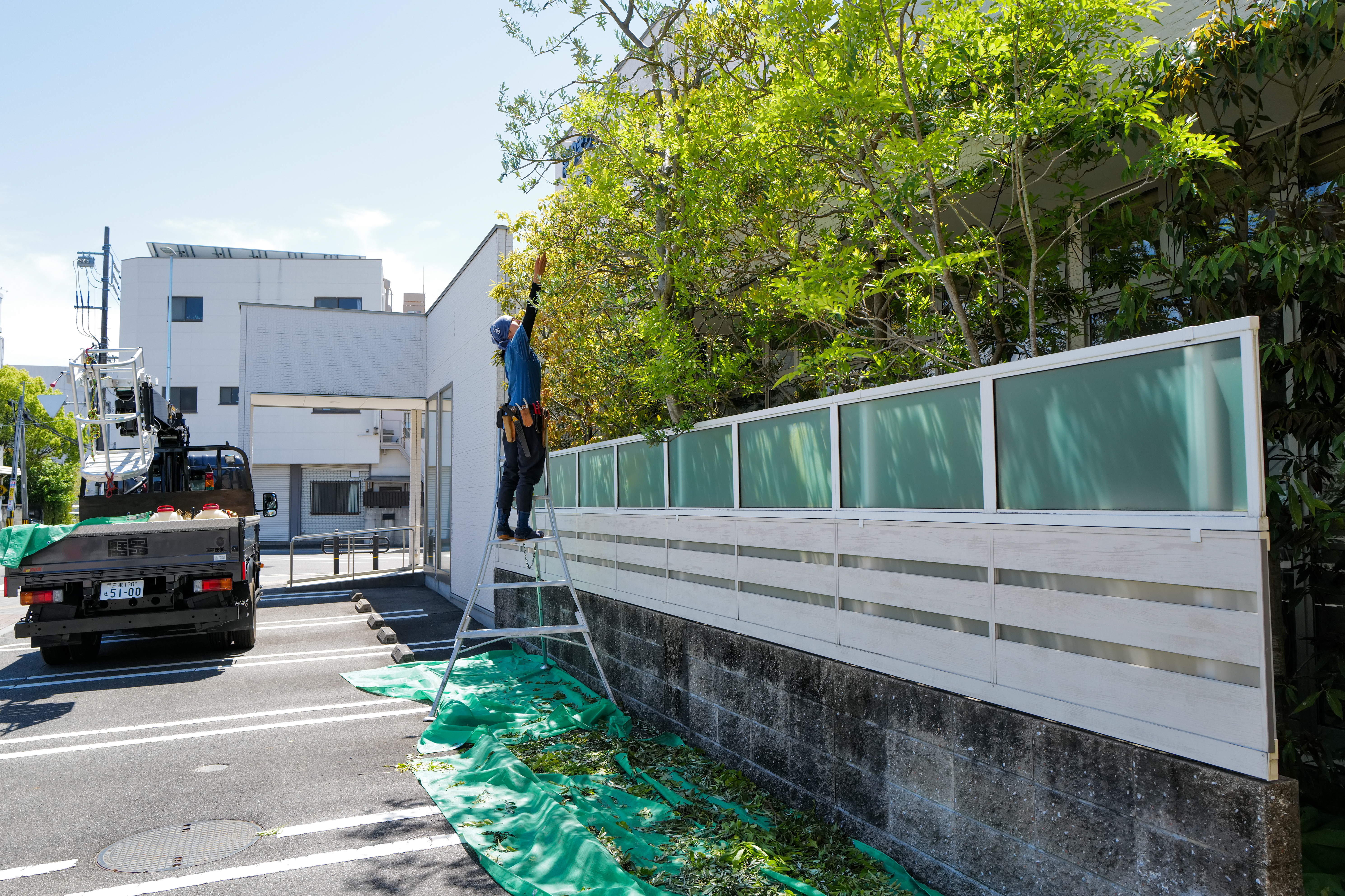津のまち矯正歯科様 除草作業の様子