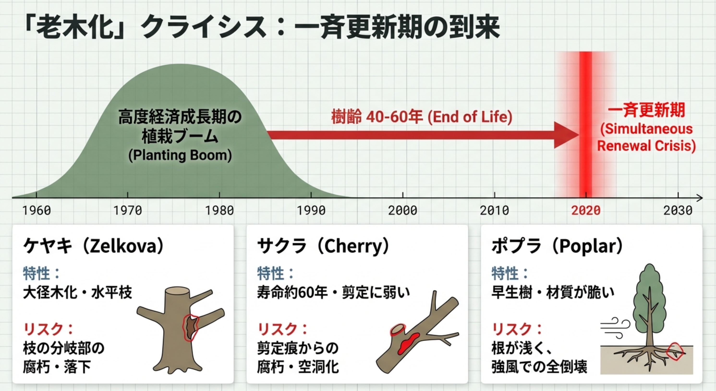 高度成長期に植えられた木の一斉老朽化