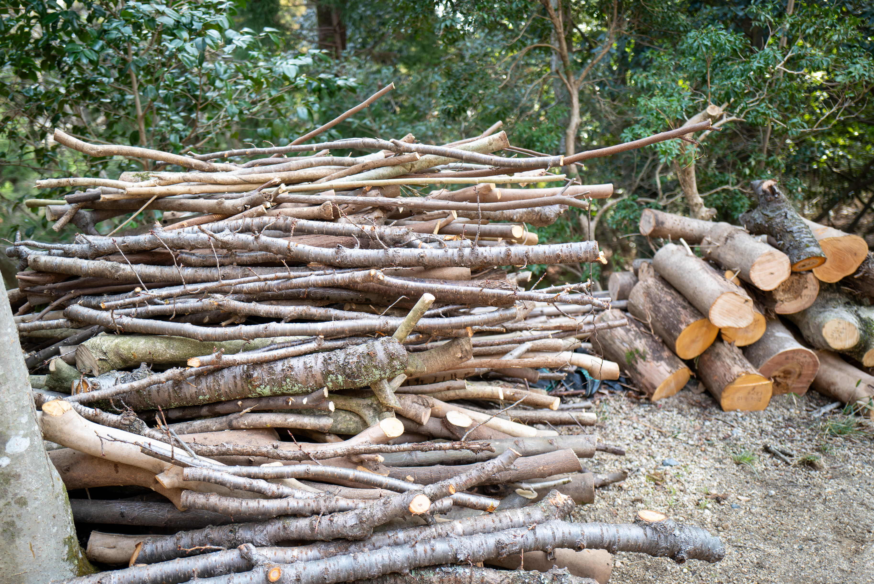 Shigara materials laid out: pruned branches, brushwood (soda), and fallen oak leaves before installation