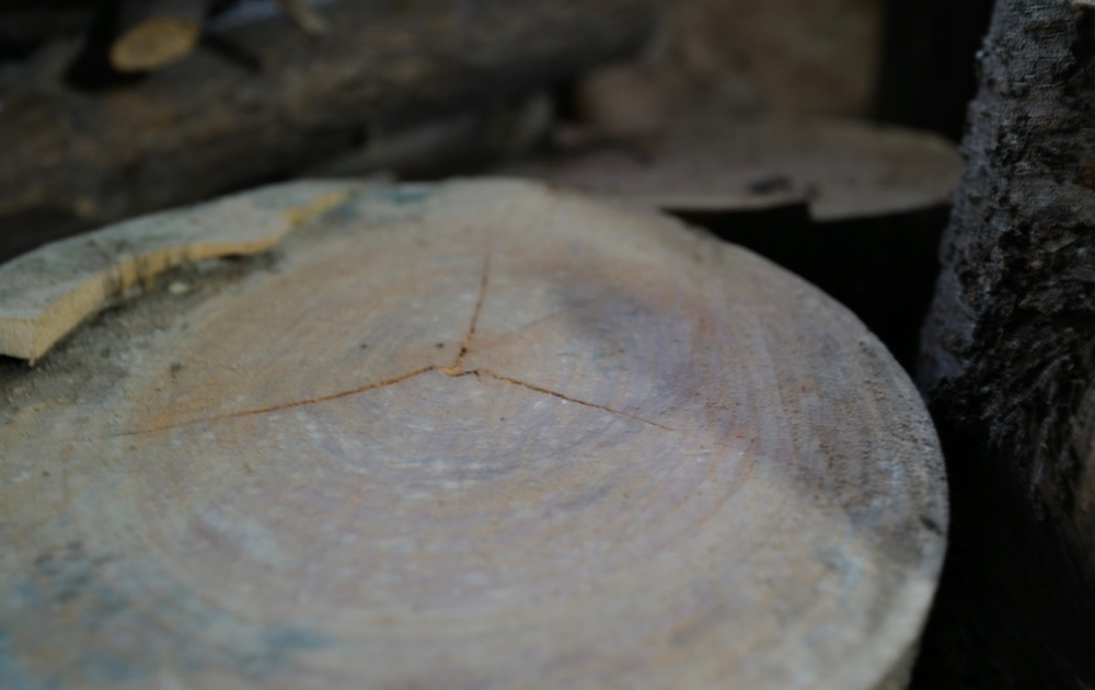 木材の乾燥について考える