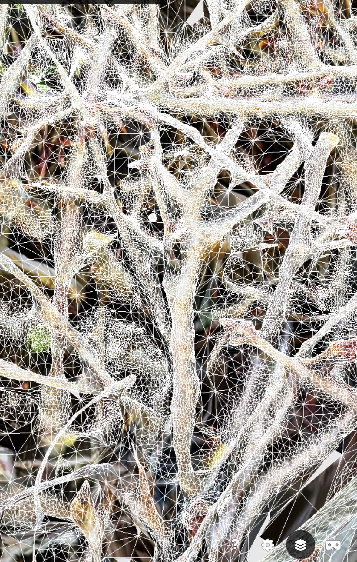 3D scan of shigara internal structure showing interlocking branch network that disperses water flow
