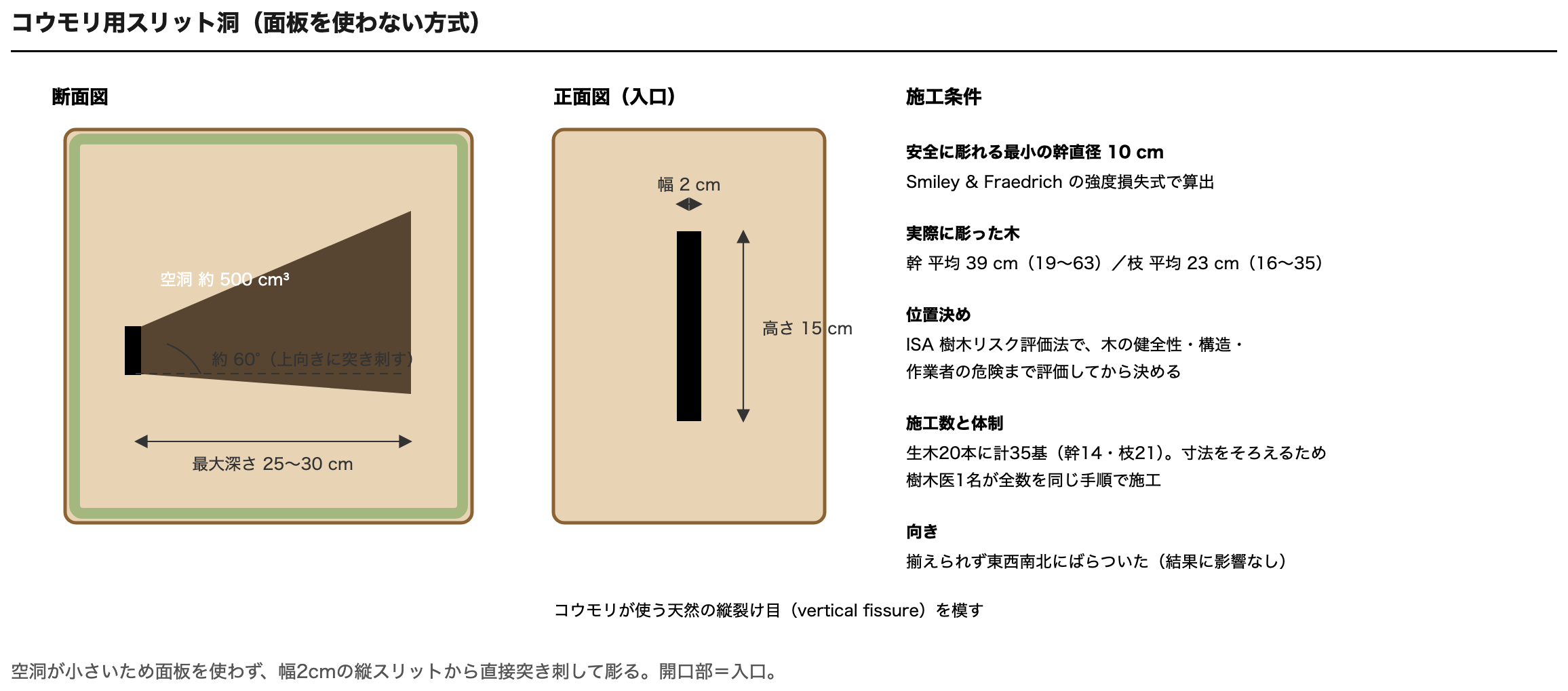 コウモリ用スリット洞の断面図と正面図