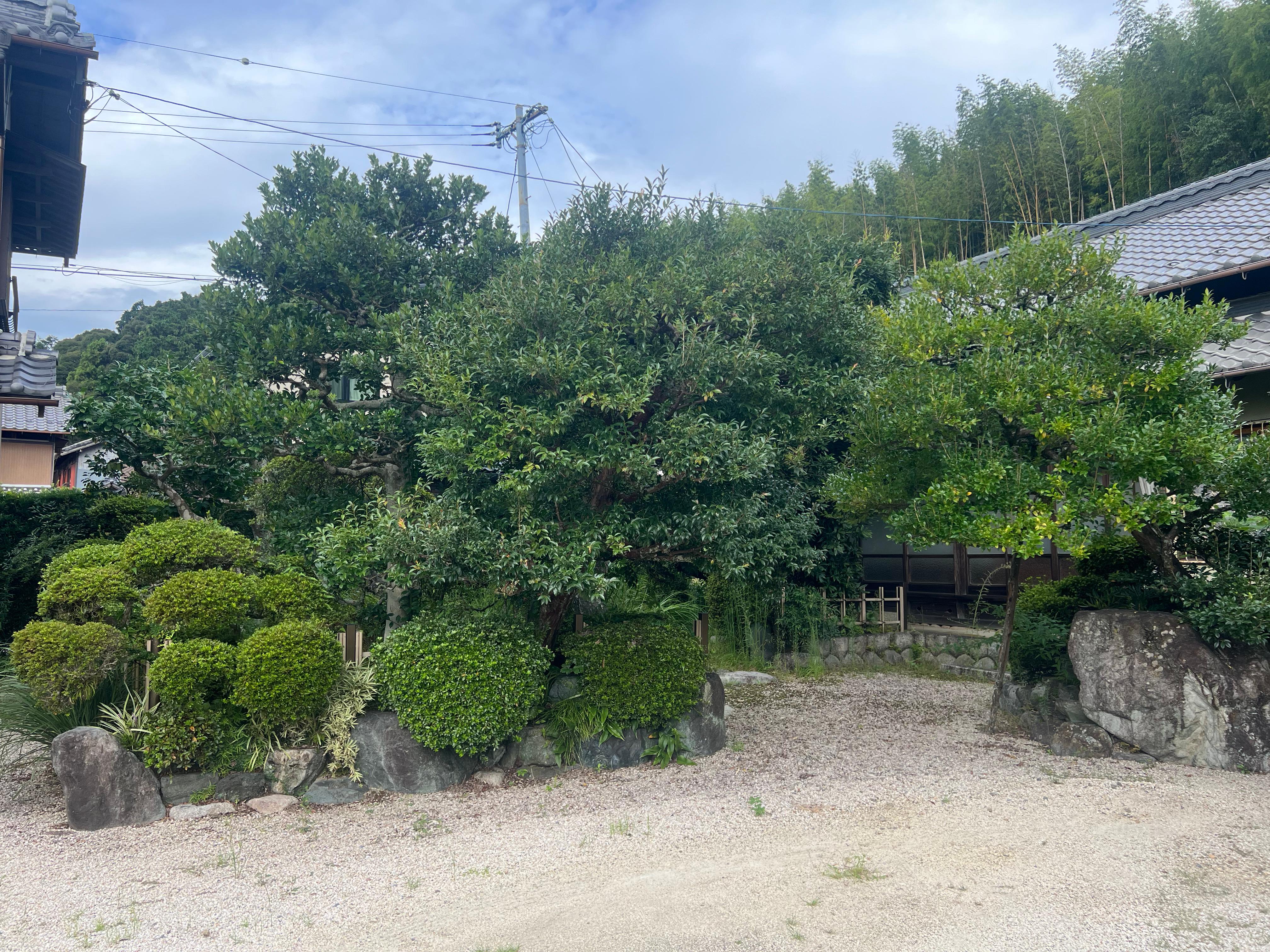 The care of a Japanese garden