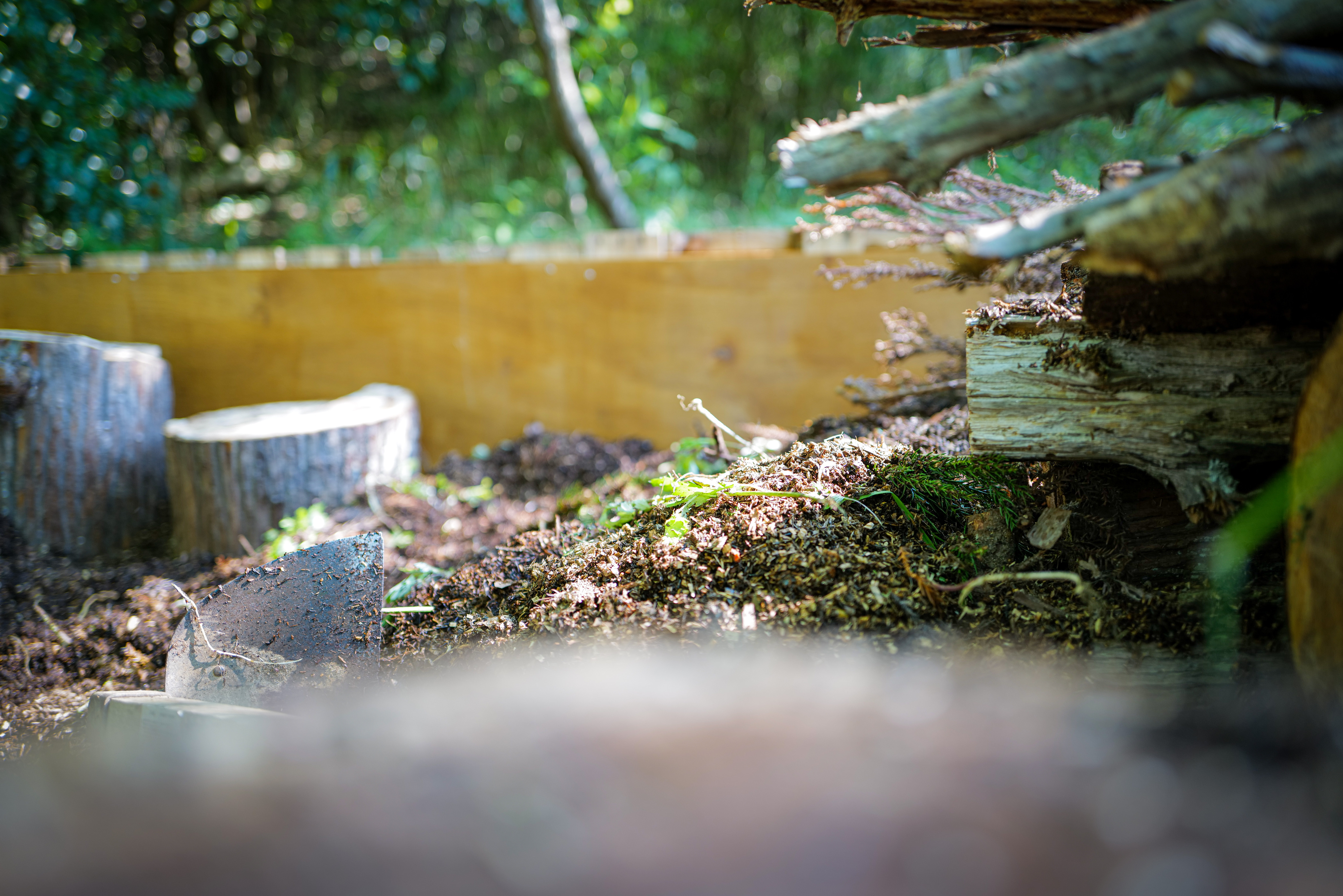 Eco-stack habitat: branches piled as shelter for insects and small animals — Sentei-ya Sora