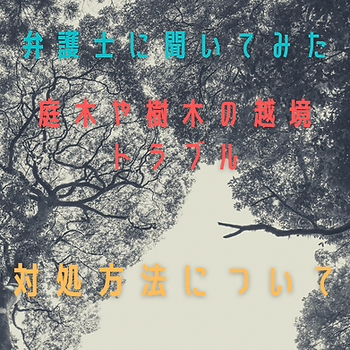 庭木や樹木の越境トラブル問題・対処方法について 弁護士に聞いてみました|三重県剪定伐採お庭のお手入れ専門店 剪定屋空