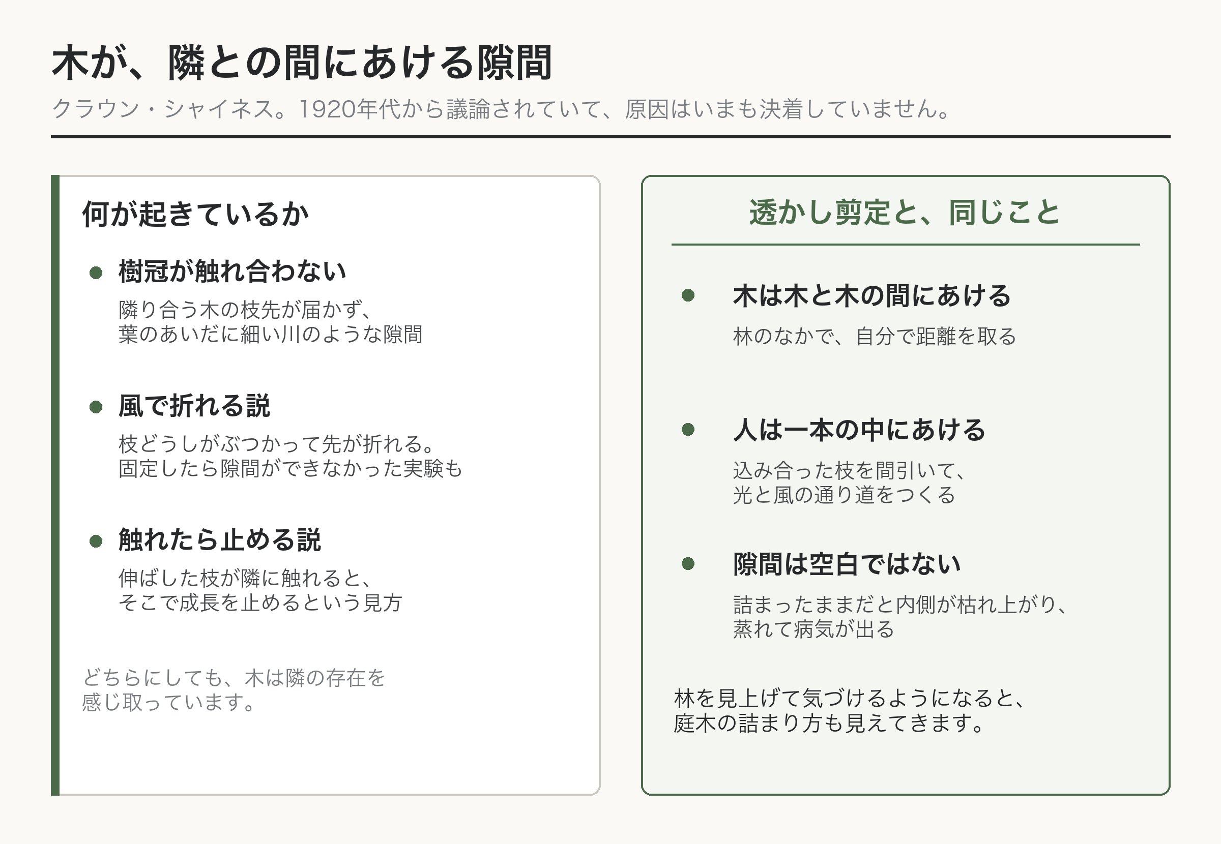 クラウンシャイネス 樹冠 隙間 剪定 図解