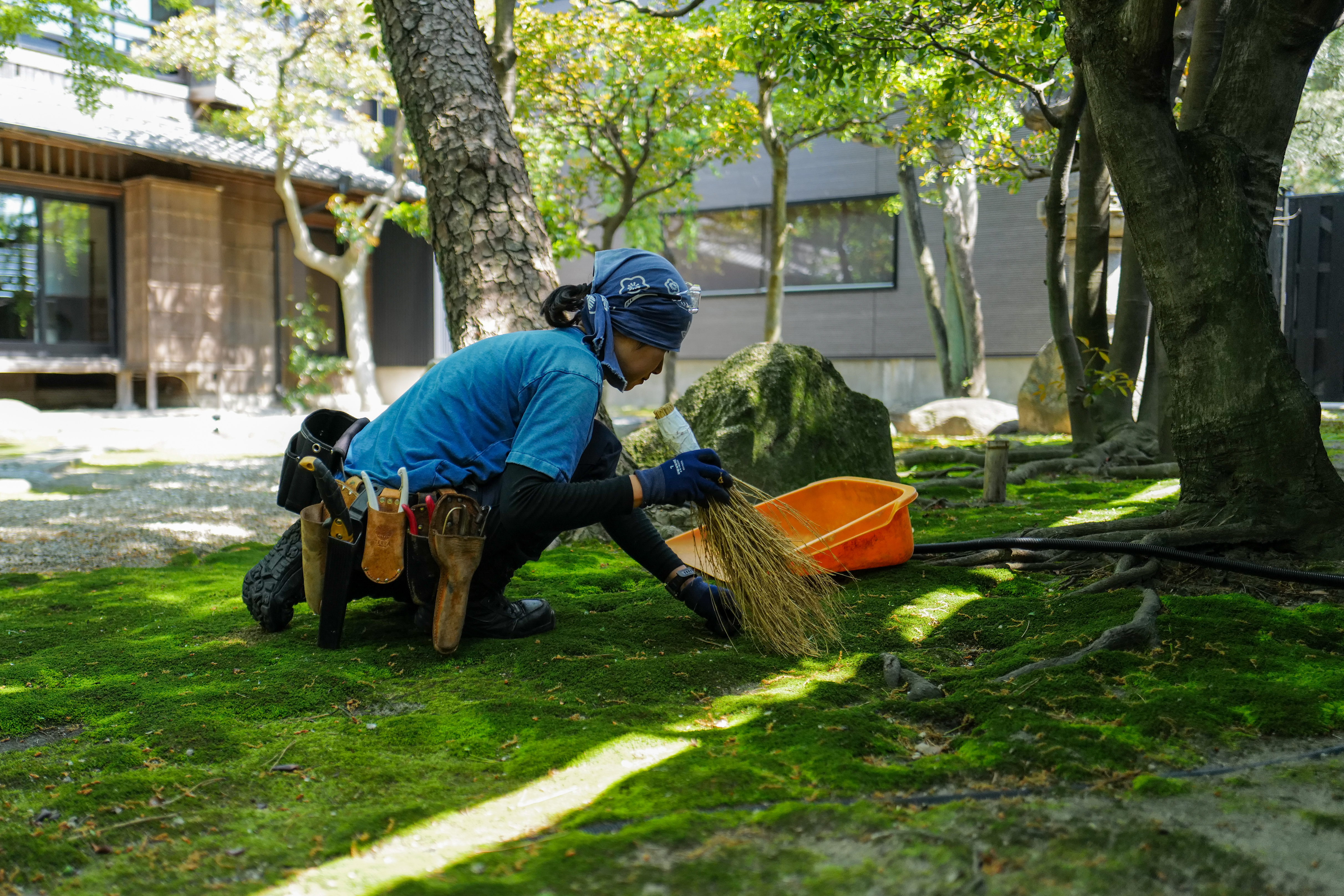 尾上別荘の苔庭で手箒を使って丁寧に苔を掃除する作業の様子