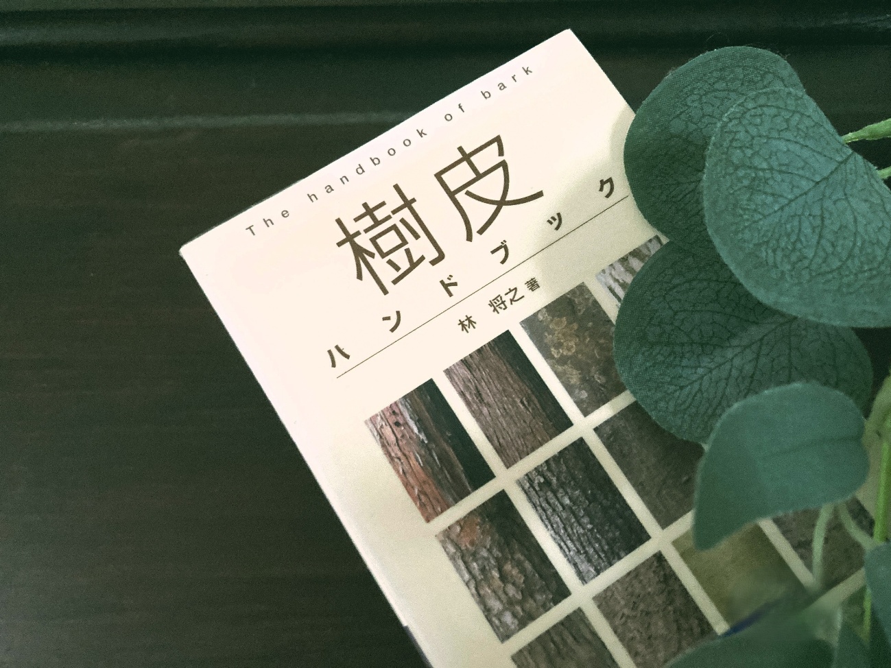 樹皮ハンドブック 林将之 植物本 樹皮図鑑
