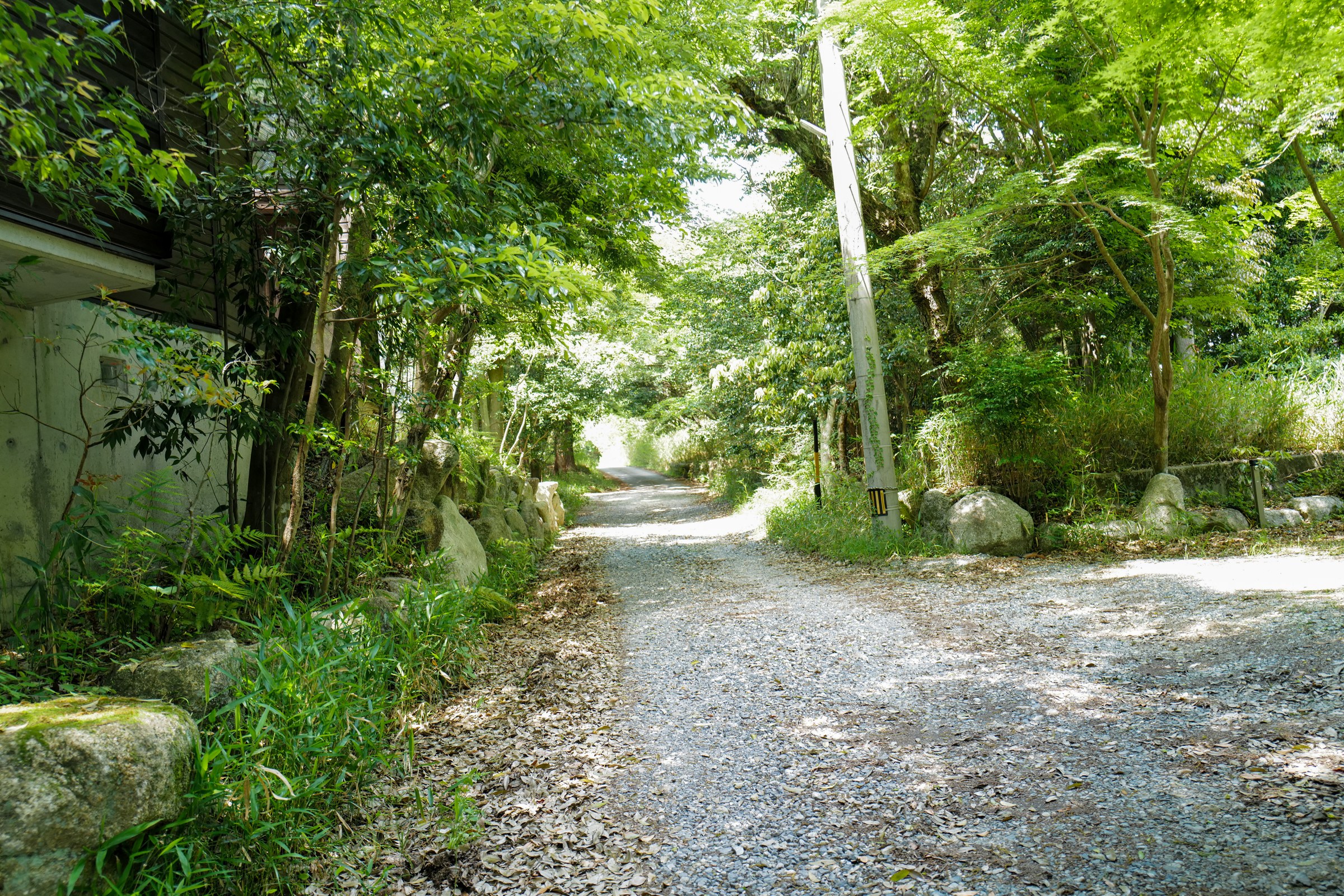 雑木の庭の森に続く小道 三重県菰野町