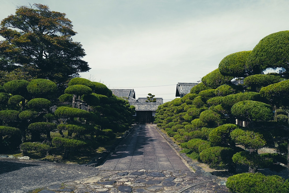 三重県 庭園 菰野横山邸園 庭園管理