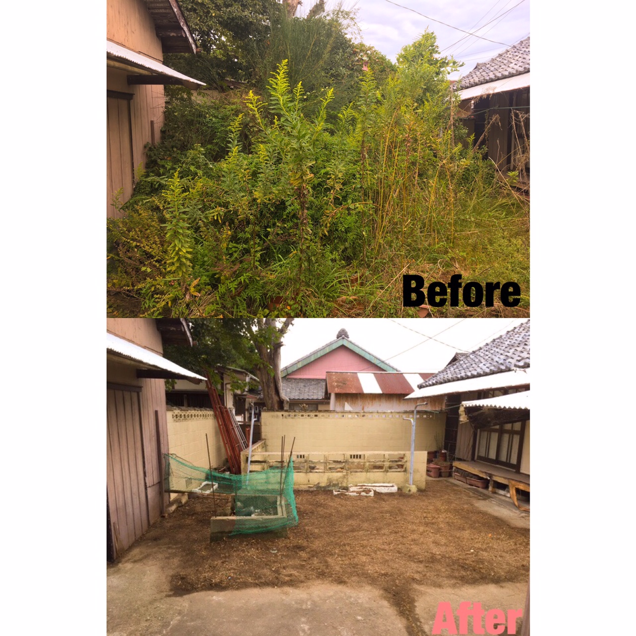 津市 お庭全体 庭木 伐採 剪定屋空