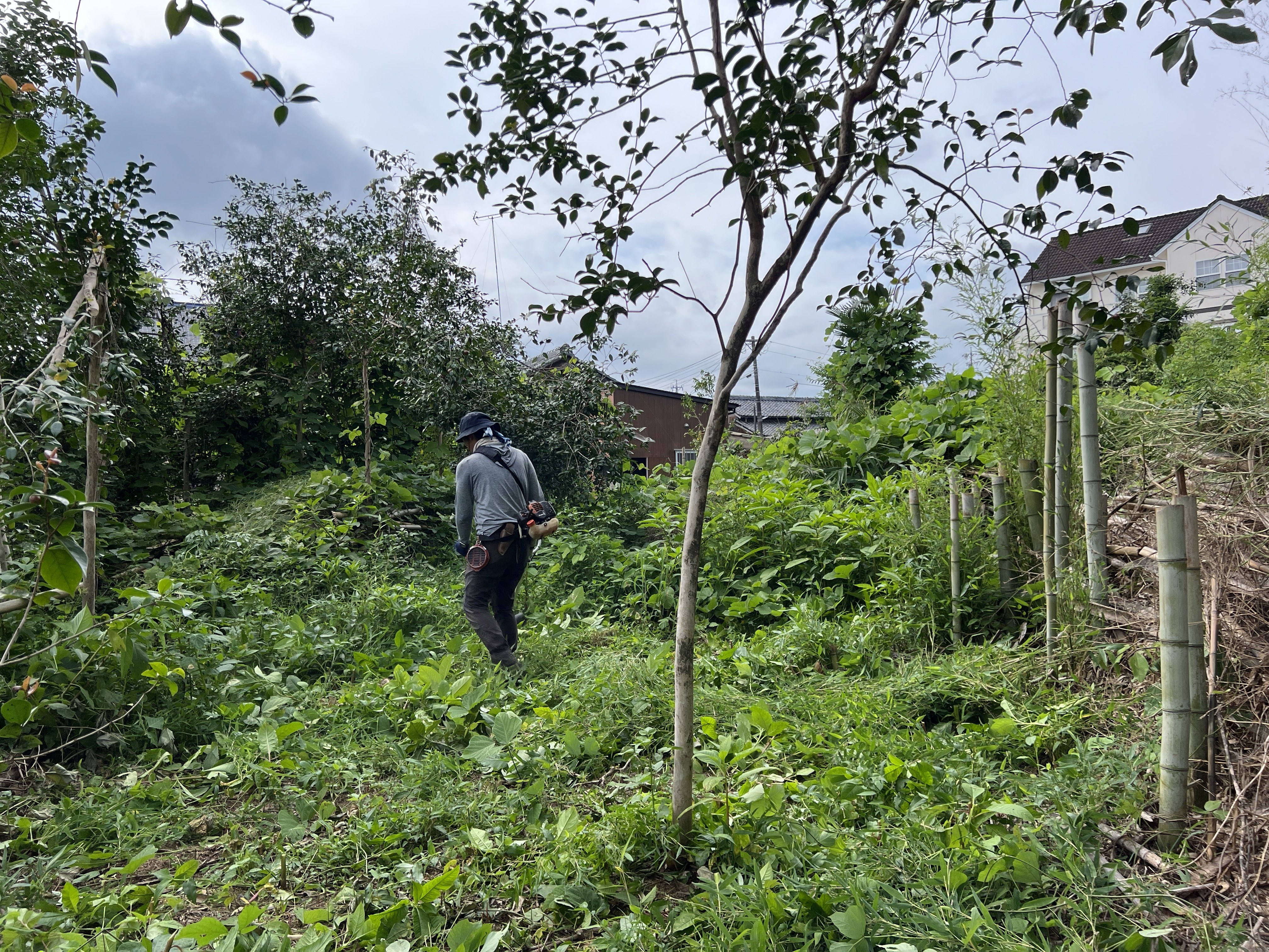 鈴鹿市 淡竹 竹林 下草刈り作業 剪定屋空