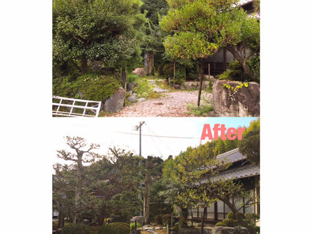 四日市庭木剪定| お庭の全体メンテナンス作業
