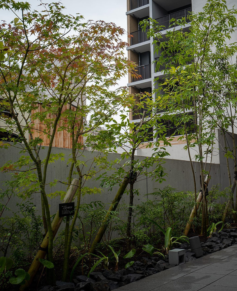 Image showcasing Example of Green Space Management for Apartment Buildings剪定屋空