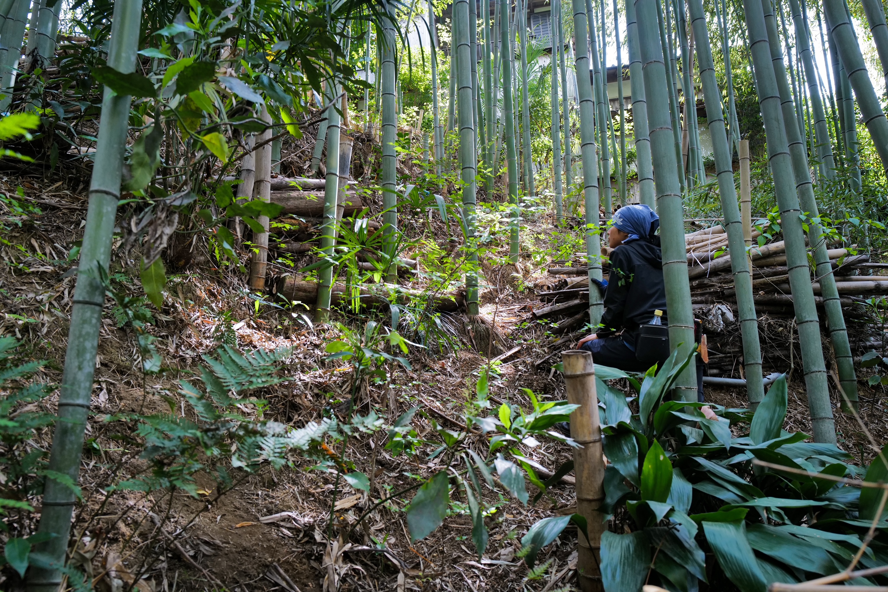 三重県 竹林管理