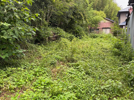 桑名市にて孟宗竹の竹林整備と草刈り