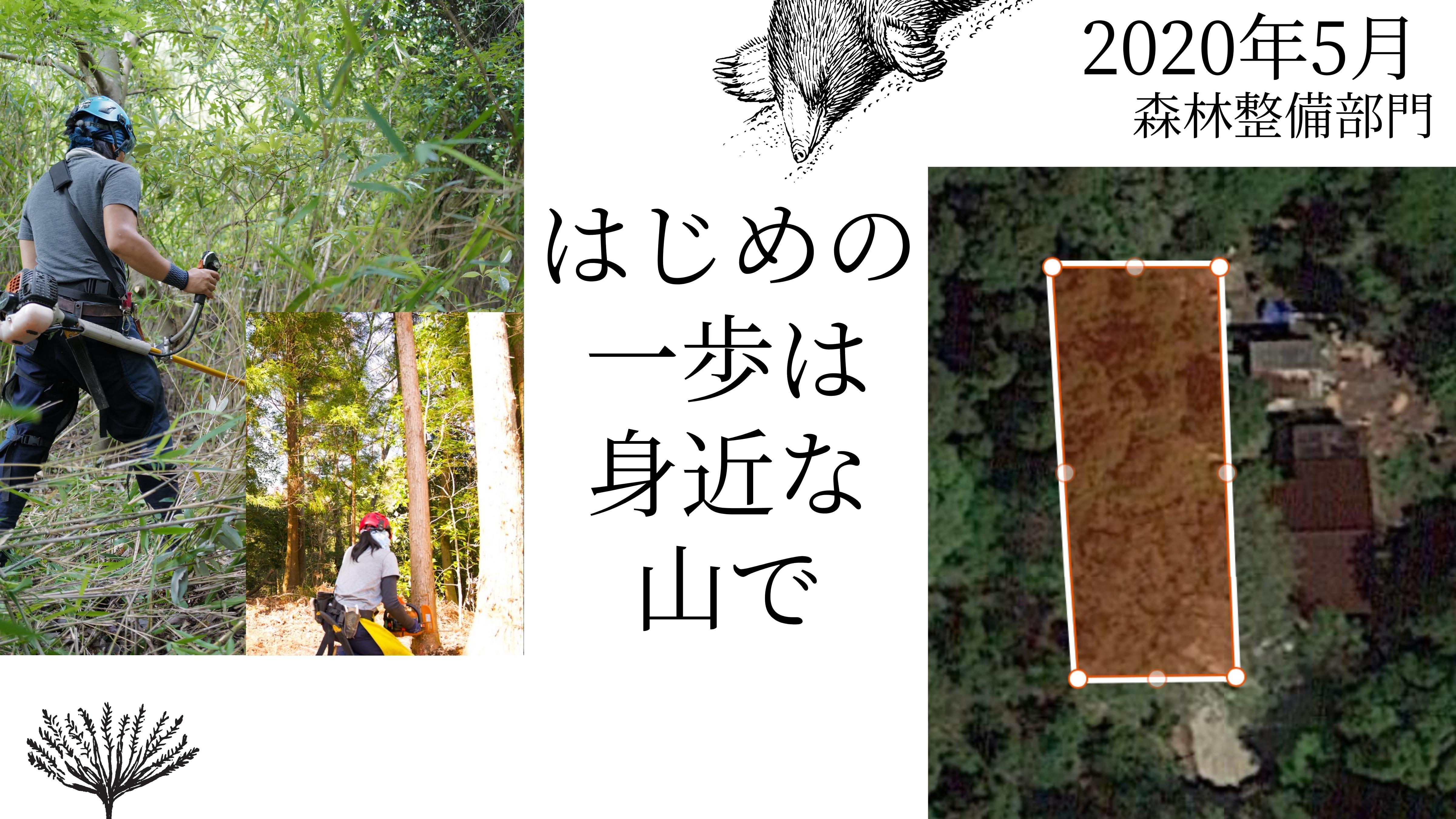 First steps: mountain management near home, May 2020 — Sentei-ya Sora