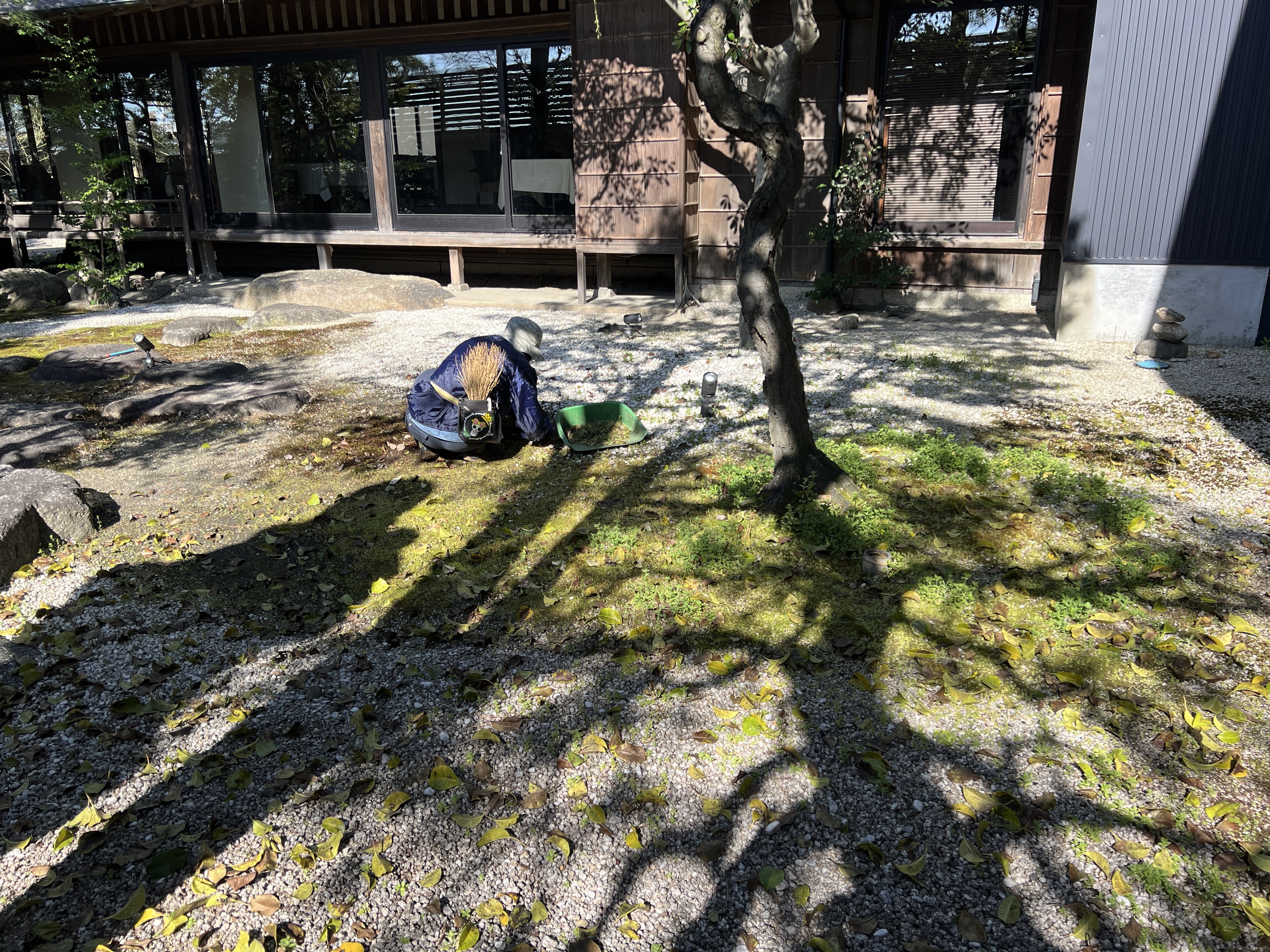 砂利庭の手取り除草