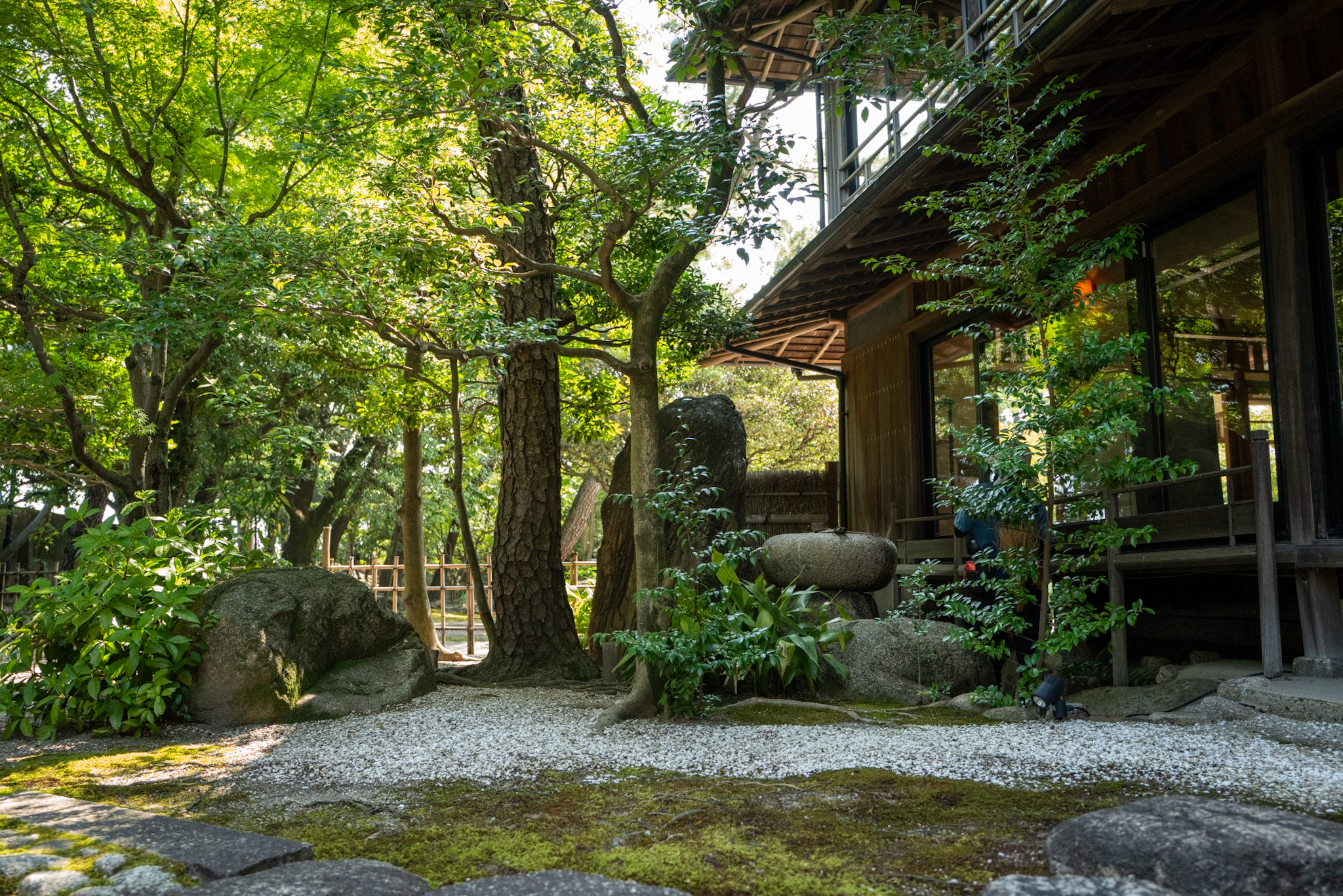 松の幹と石灯籠、建物際の苔と石組みの一角