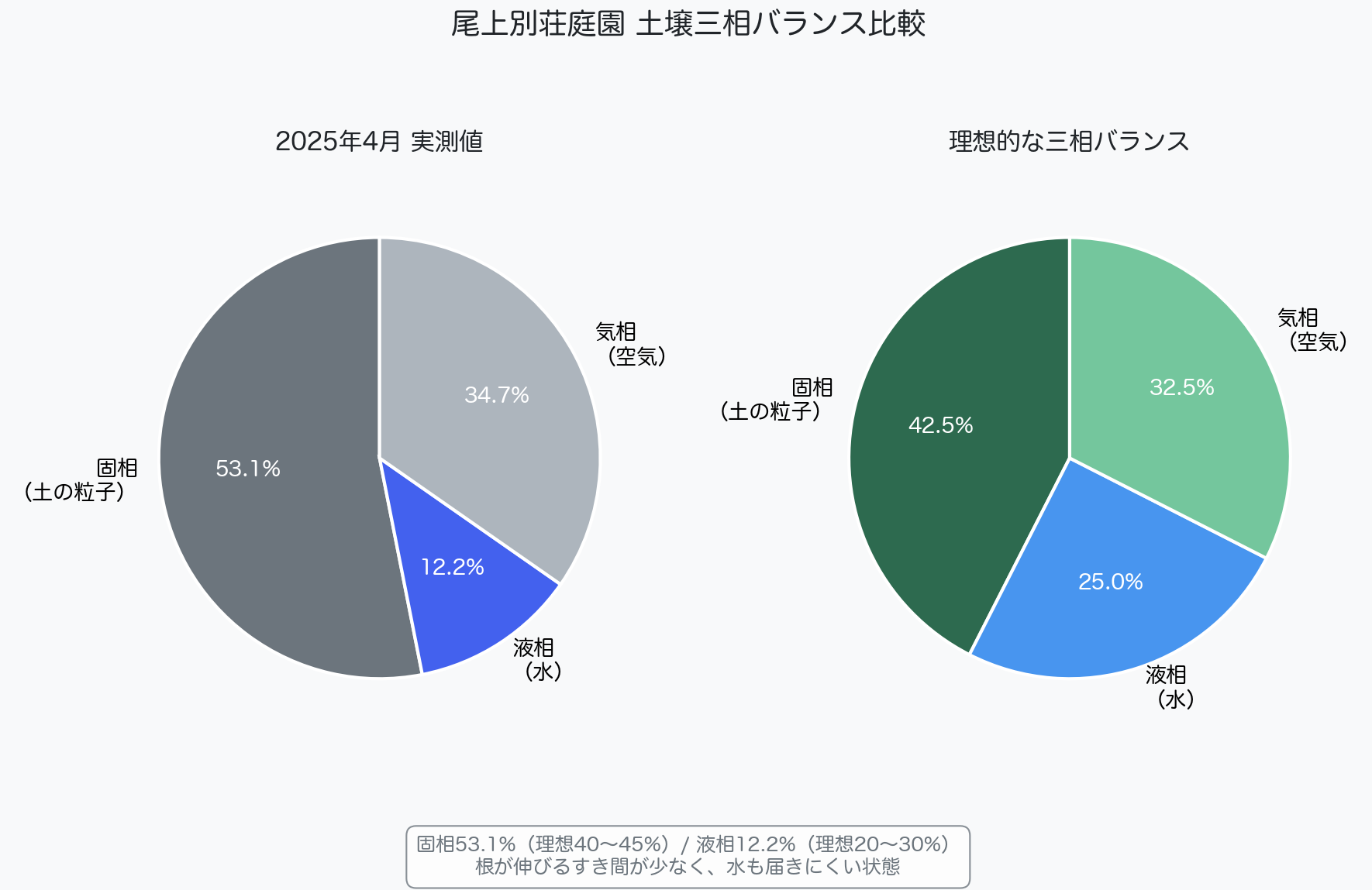 土壌三相バランス比較 実測値と理想値