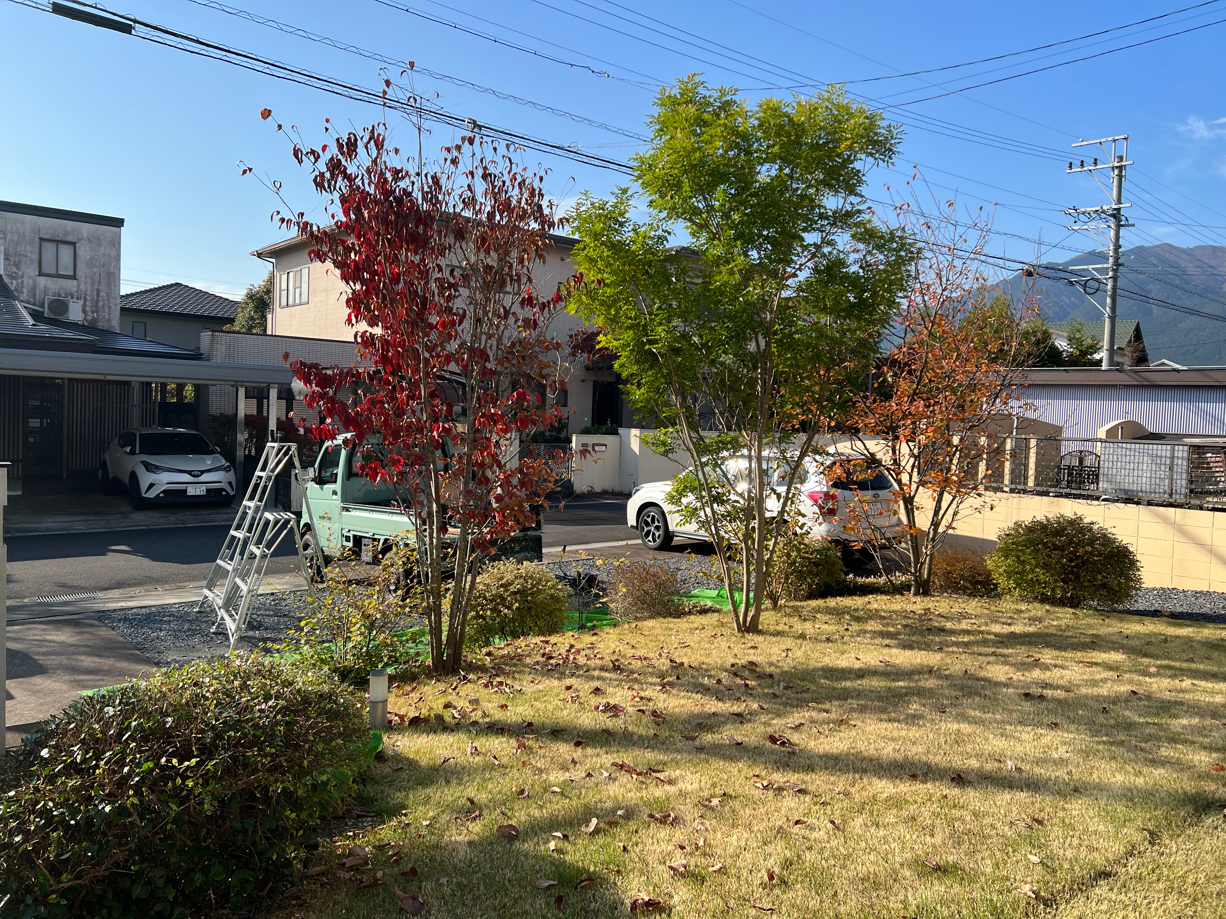 Garden and the importance of regular maintenance