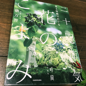 二十四節季花のこよみ