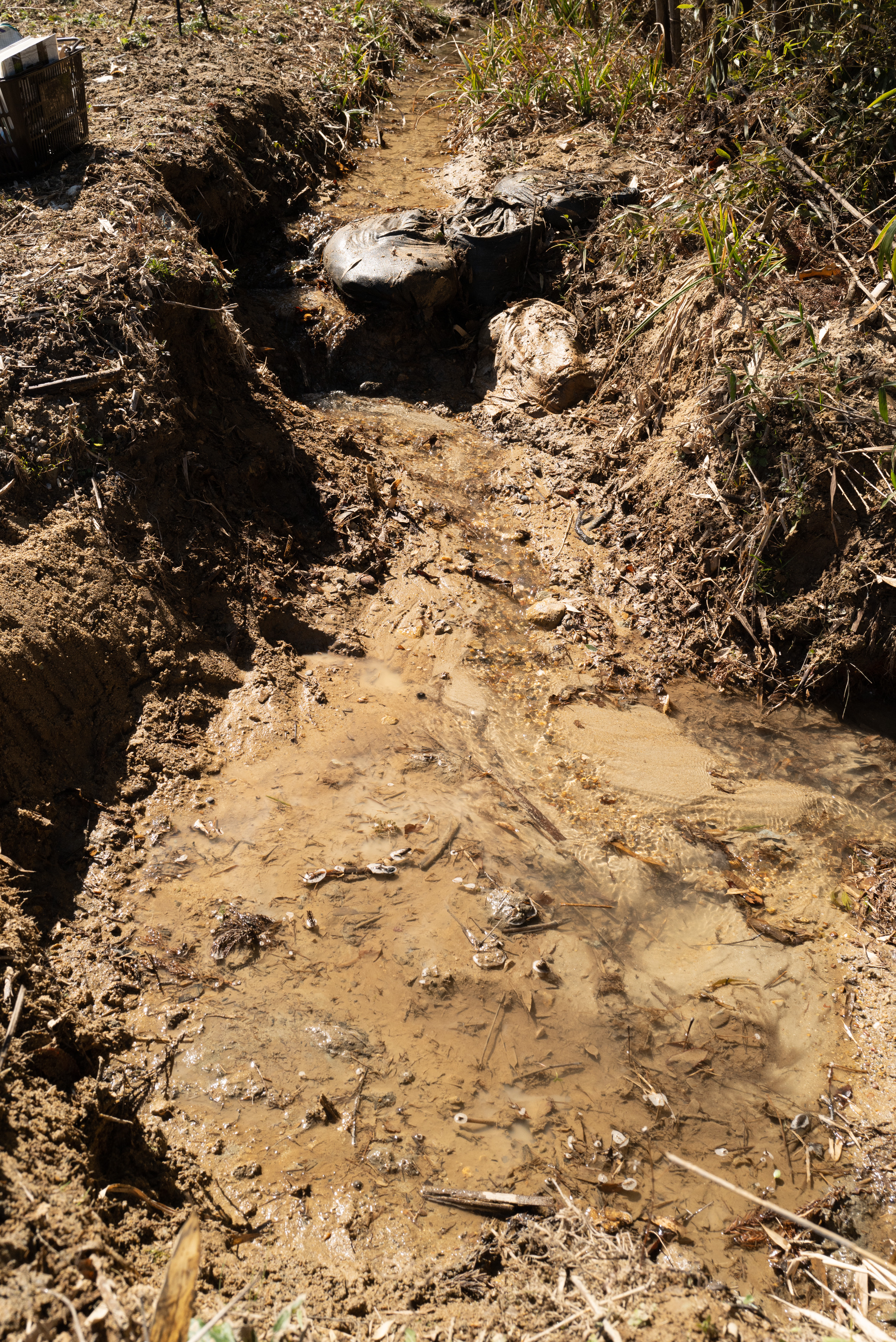 Sand and mud removal work in Mie Prefecture — Sentei-ya Sora