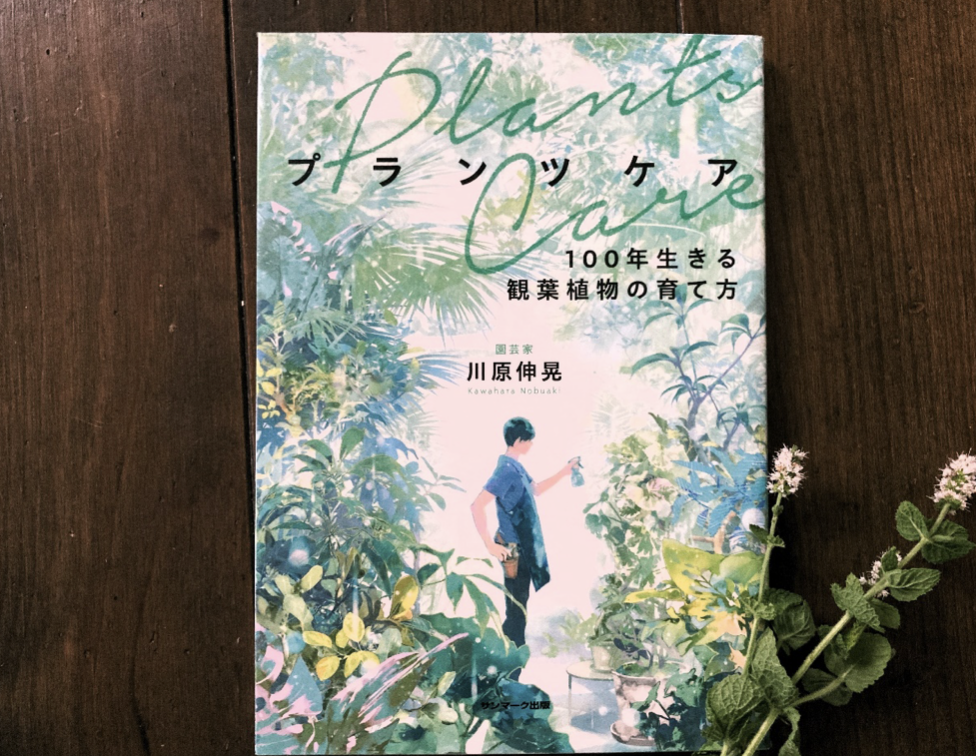 植物と暮らしていくための入門書 プランツケア 100年生きる観葉植物の育て方