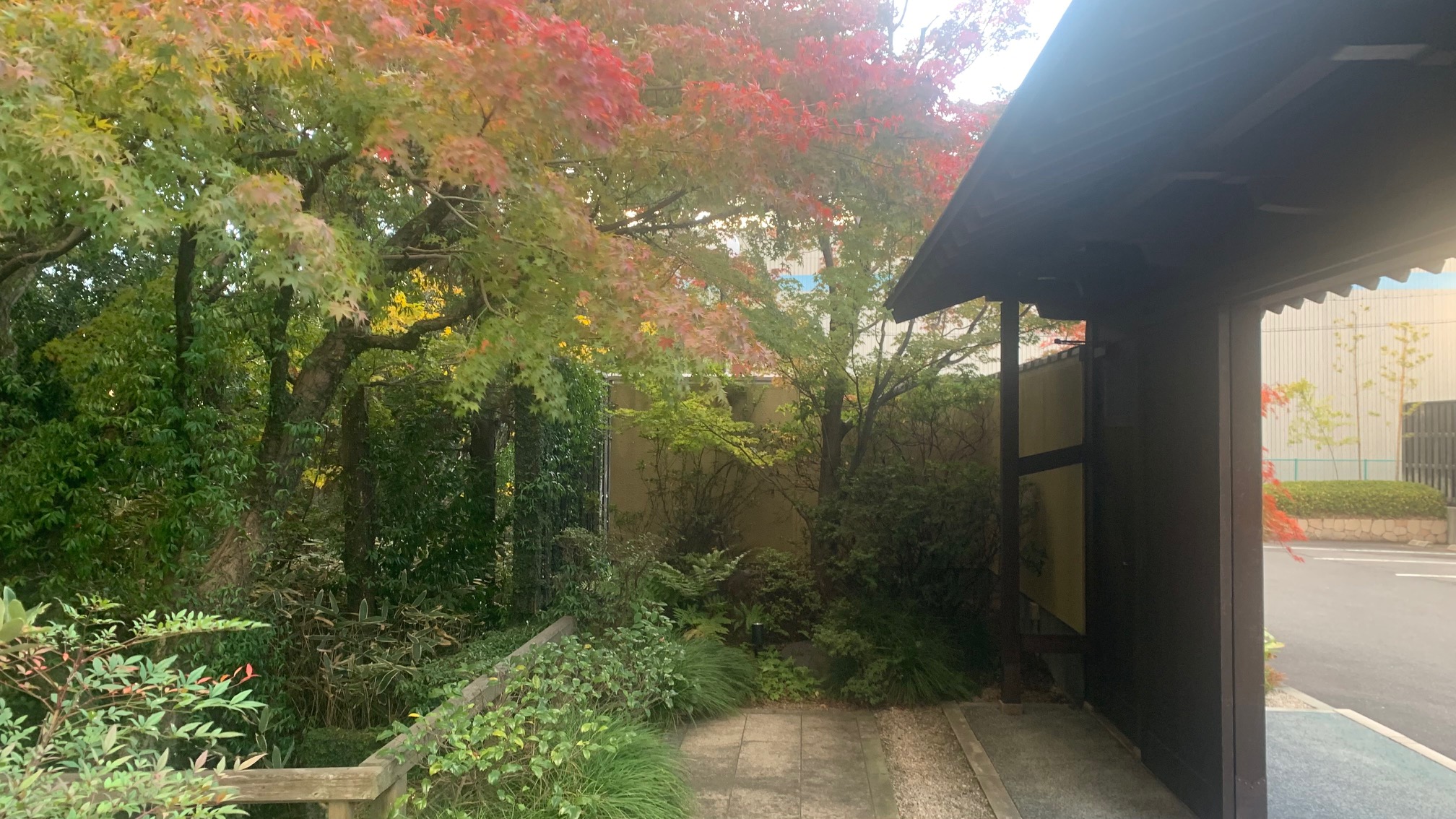 Garden maintenance example at Onoe Villa, Yokkaichi City, Mie Prefecture — Japanese garden care by Sentei-ya Sora