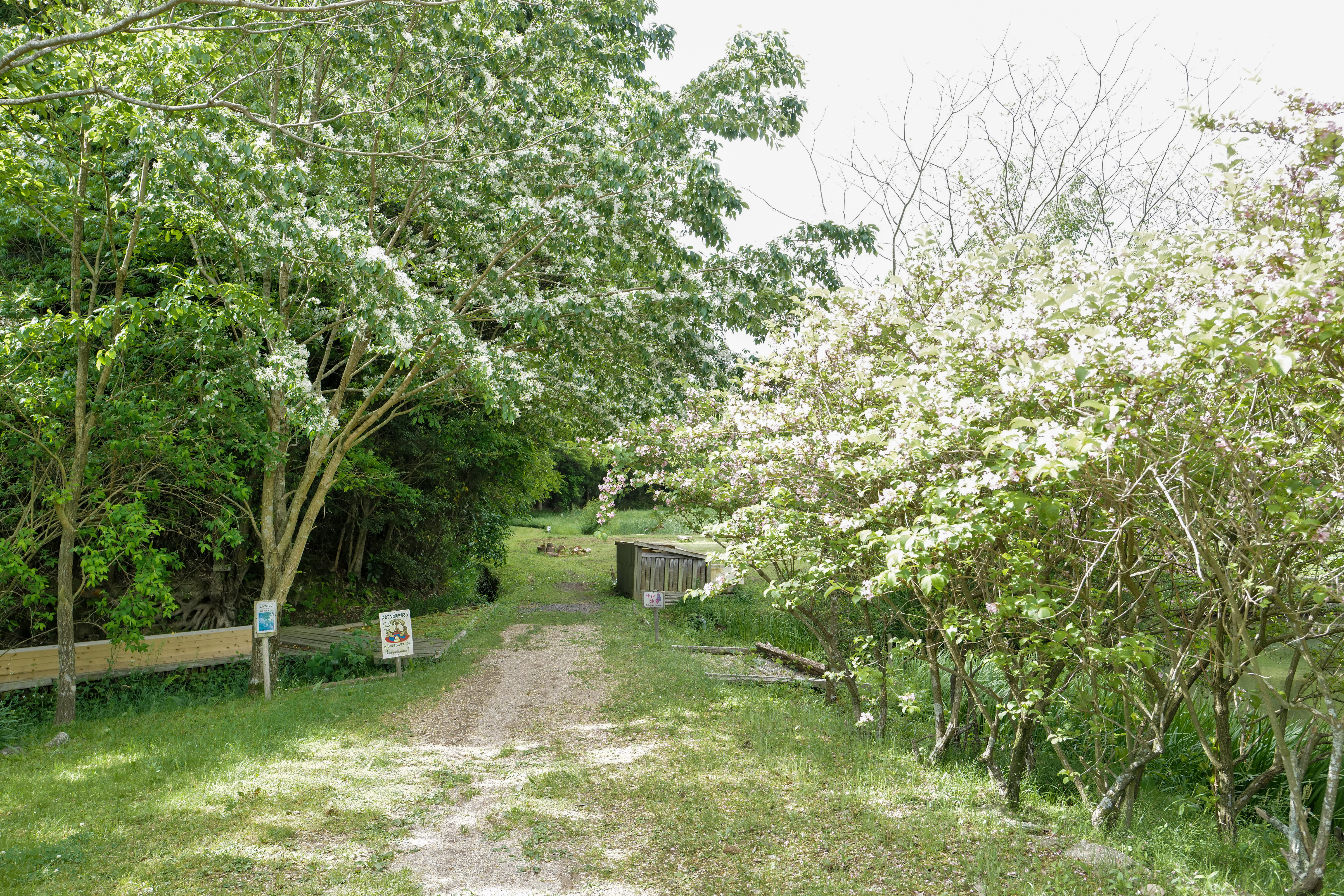 亀山市里山公園みちくさの散策路 剪定屋空