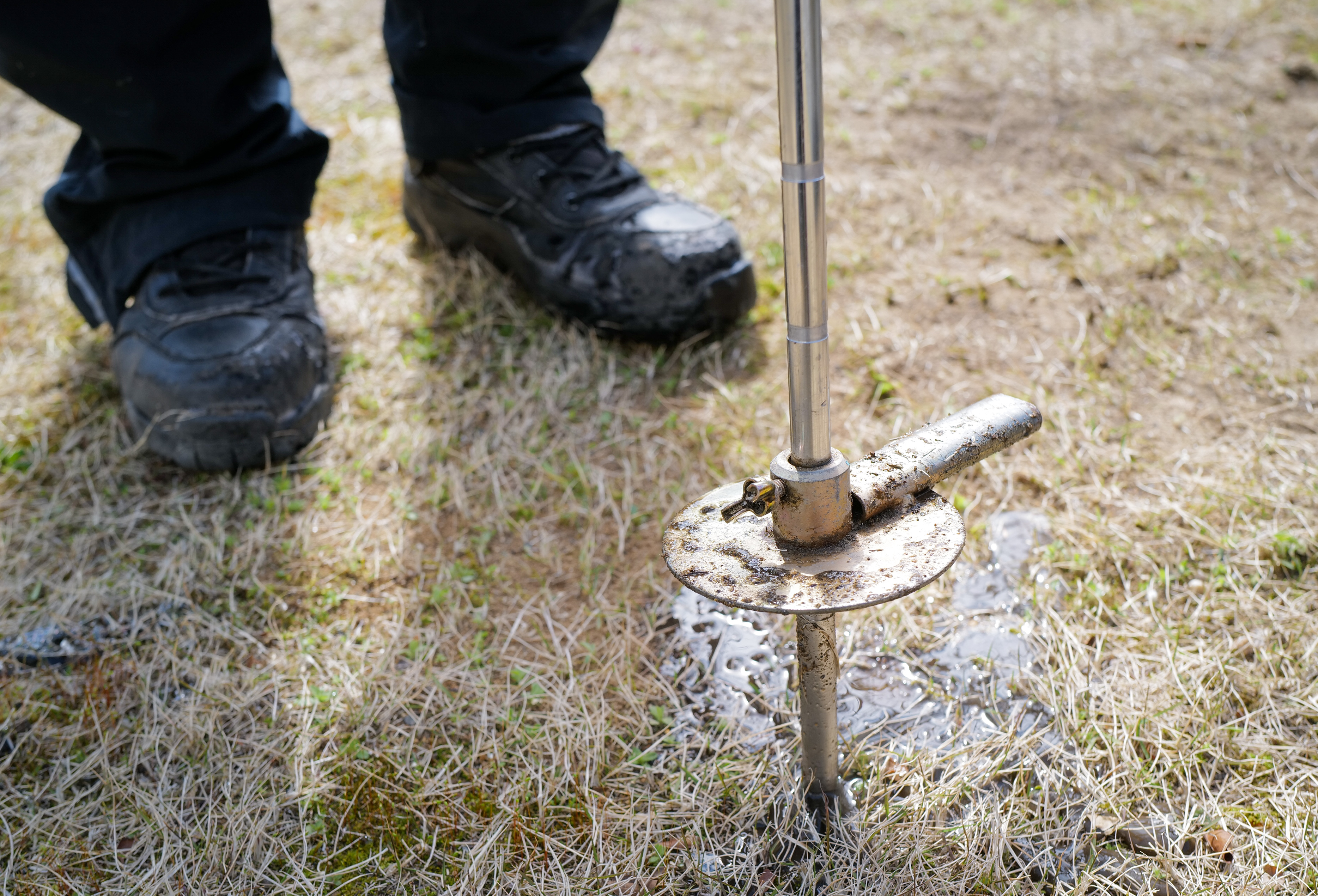 Delivering Directly to the Roots — The Logic of Deep Soil Injection for Tree Care