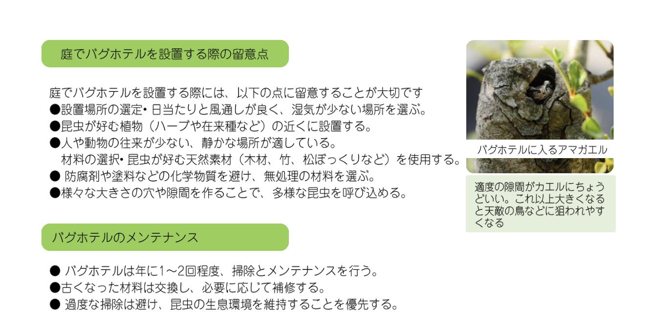 Small ecological bug hotel (insect hotel) for home garden biodiversity — installation and wildlife observation in Japan