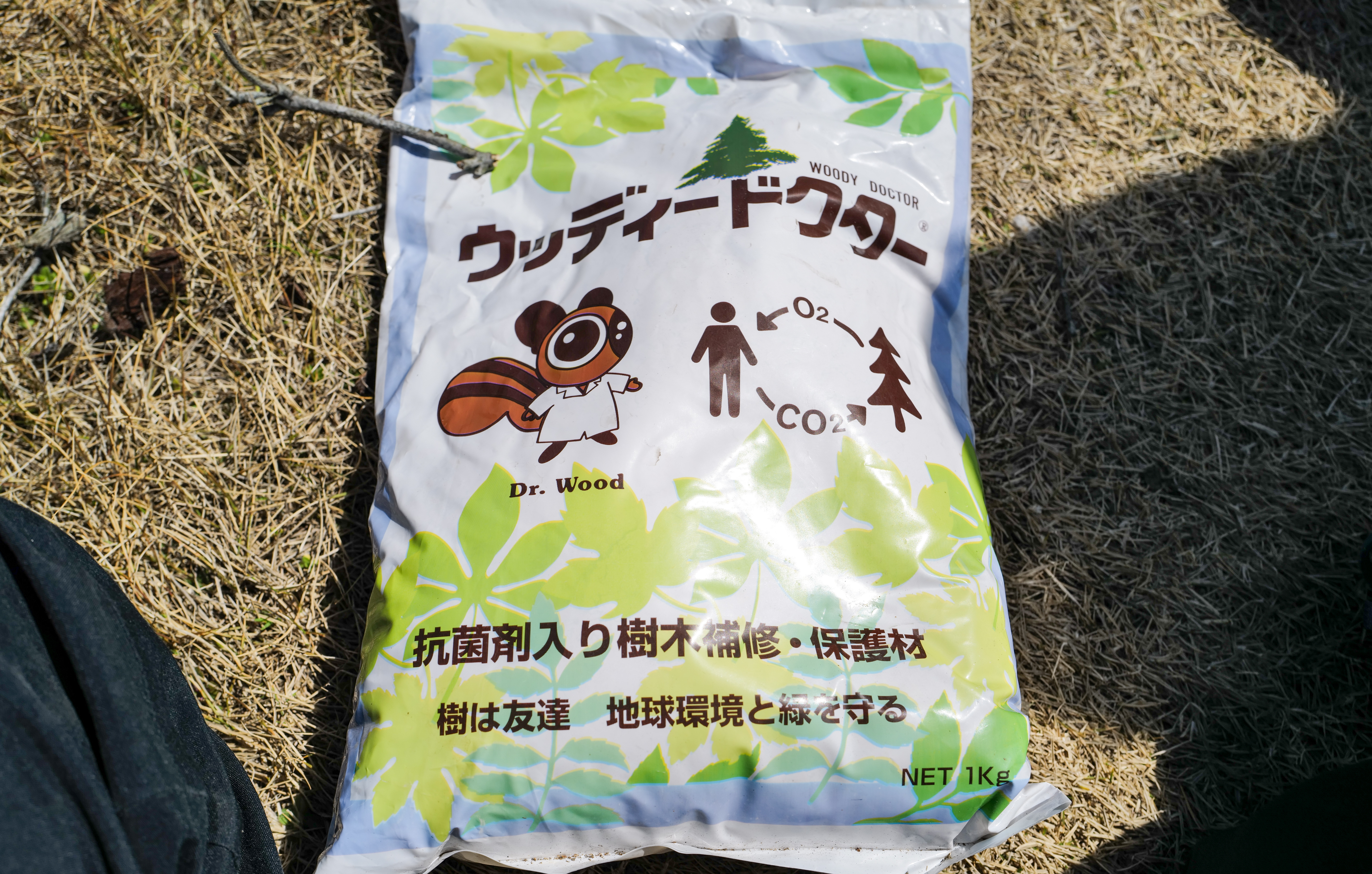 Garden Maintenance in Kuwana — Weeding a Traditional Garden, Turf Care, and Tree Repair