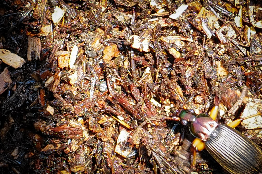 By collecting branches, fallen leaves, weeds, grass after mowing, etc., and breaking them into small pieces and agitating them, microorganisms such as bacteria and fungi promote the decomposition of fallen leaves and dead organisms.