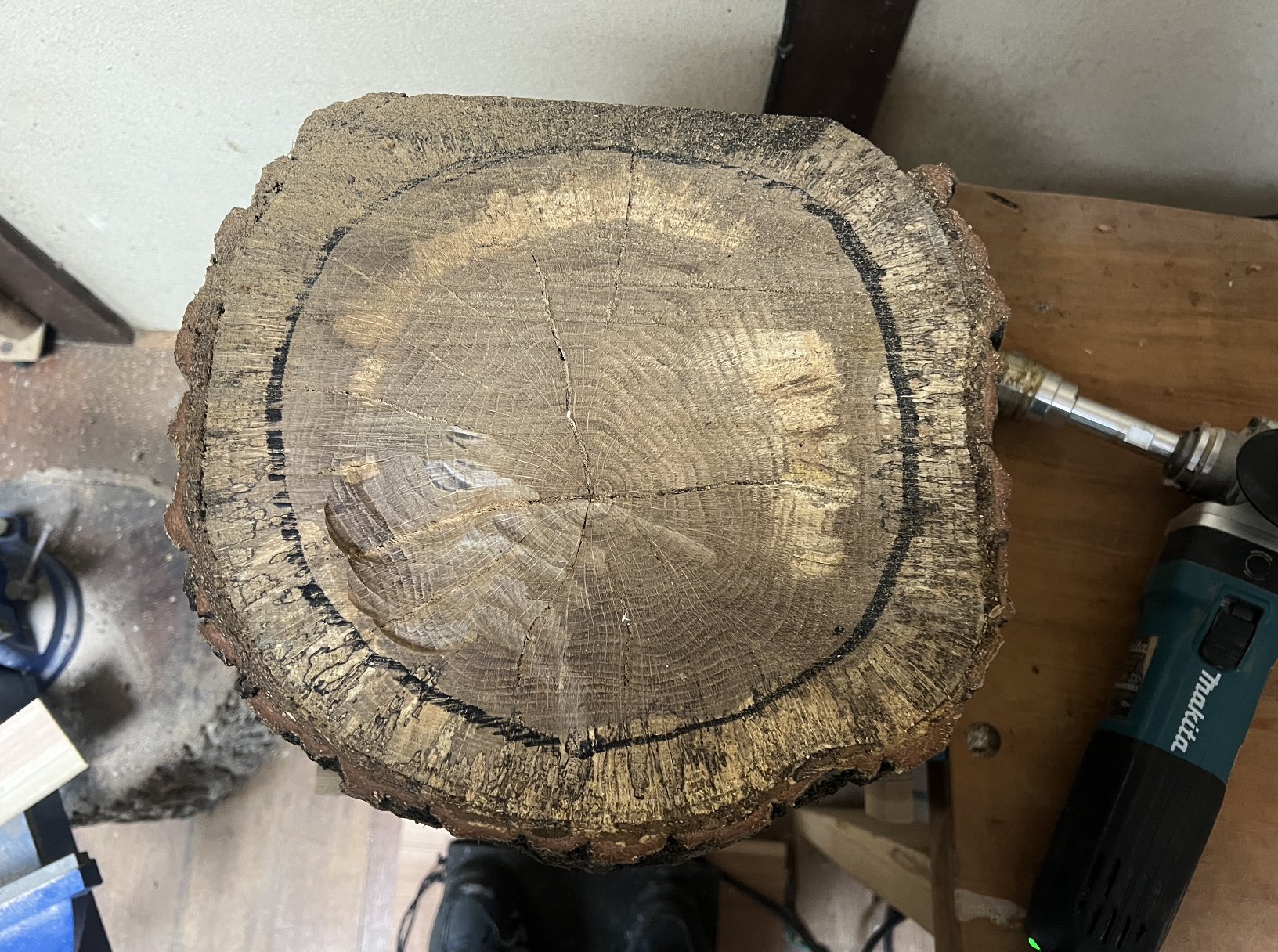 Hollowing process for konara oak log nest box — marking the cavity and removing interior wood