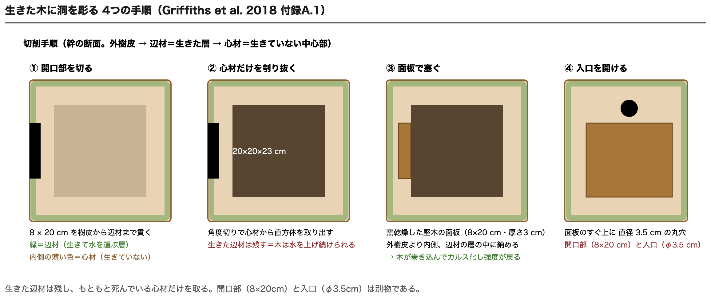生きた木に洞を彫る4つの手順