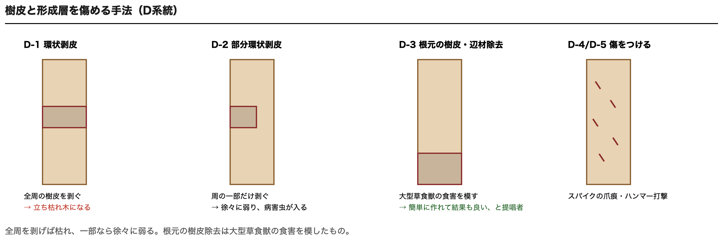 樹皮と形成層を傷める手法の比較