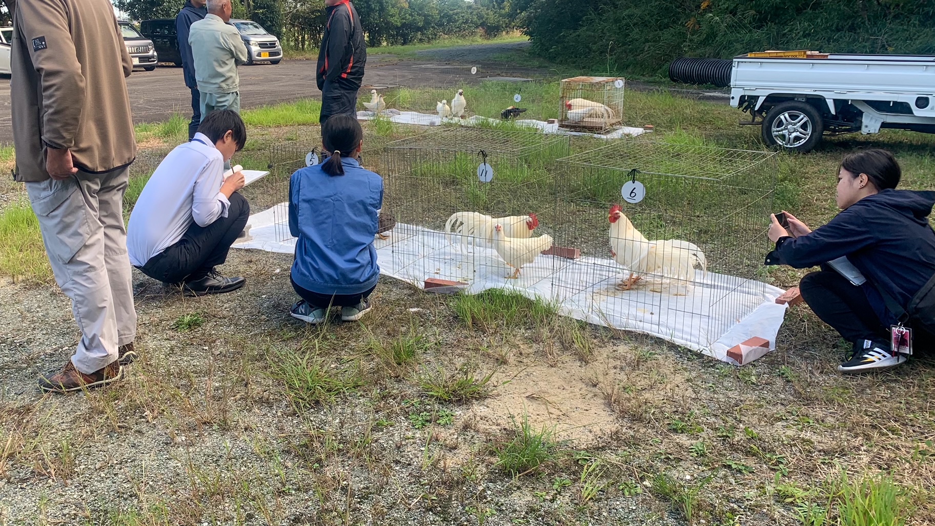 Japan Native Chicken registration review event