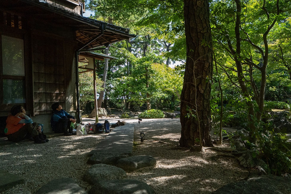 四日市市 庭園年間管理|石畳は5時間で8.6℃上がり、葉は0.7℃しか上がらなかった