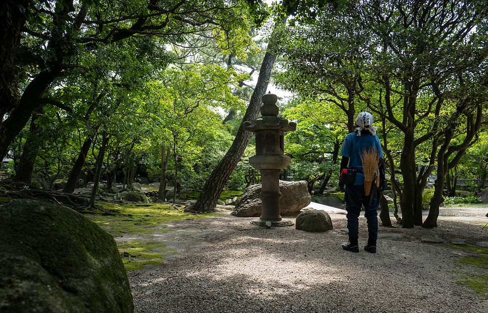 明治の埋立地に建つ庭で。尾上別荘様、古竹の伐採と苔の手入れ(2026年7月)