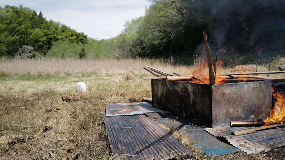 Bamboo Charcoal vs. Wood Charcoal — Differences in Structure, Use, and Soil Application